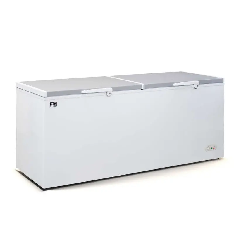 Ag Bd700S 670L Commercial Chest Freezer – Stainless Steel Construction 1
