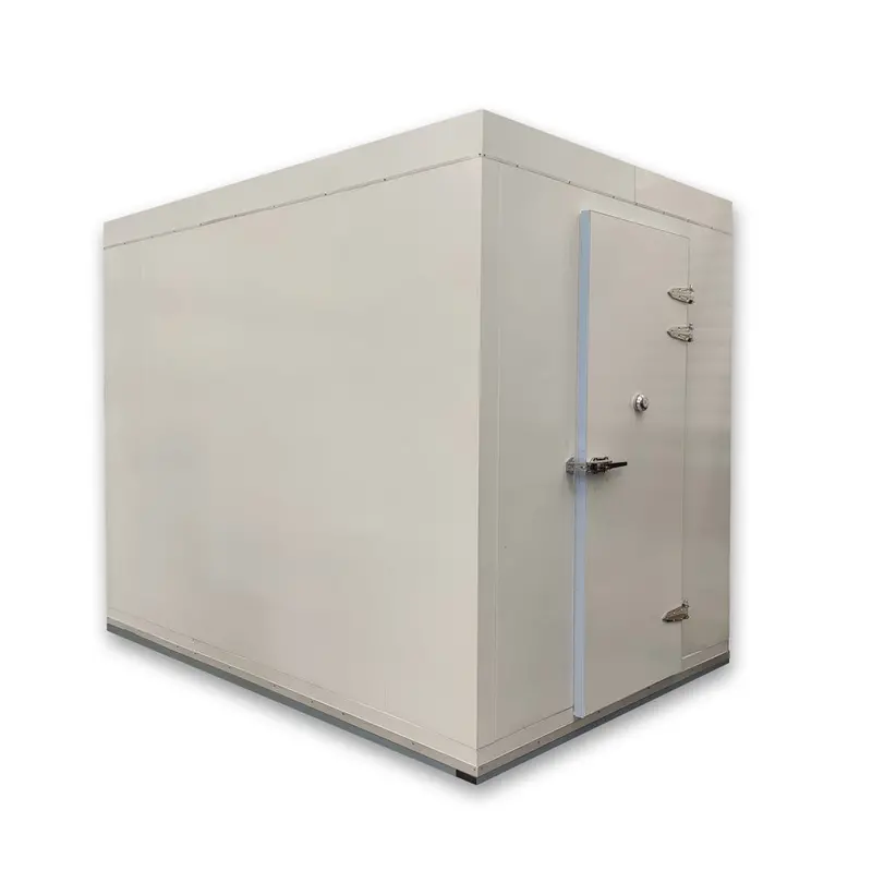 Coolrooms Plus Walk-In Freezer Room – 2000 × 2400 × 2400 Mm (Model Crp-F8) 1