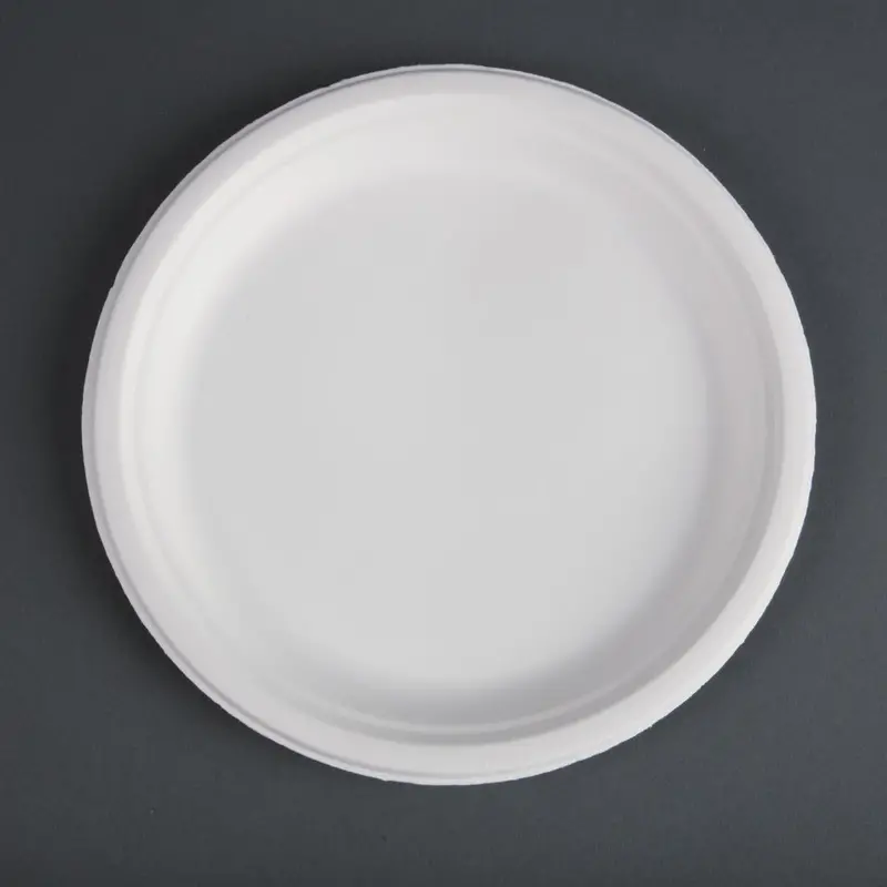 Round Bagasse Dinner Plates – 260Mm Compostable Servingware (50-Pack) 1