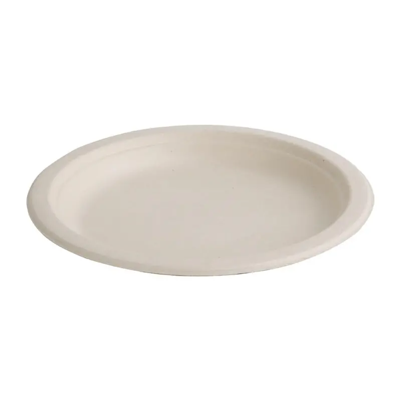 Round Compostable Bagasse Dinner Plates – 260Mm, 50-Pack (Fc545) 1