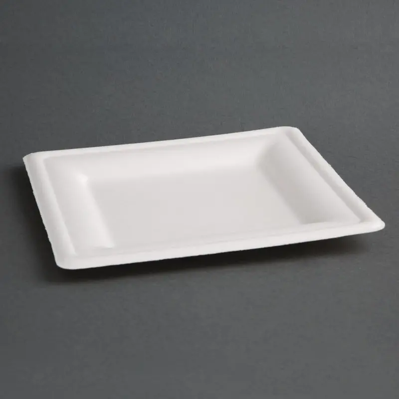 Sustainable Bagasse Square Dinner Plates – 204Mm, 50-Pack (Fc519) 1
