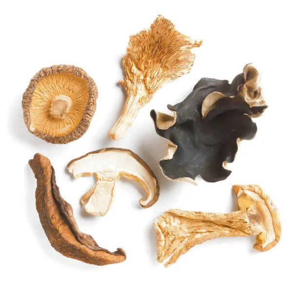 Wild Forest Mushroom Blend – Dried 1